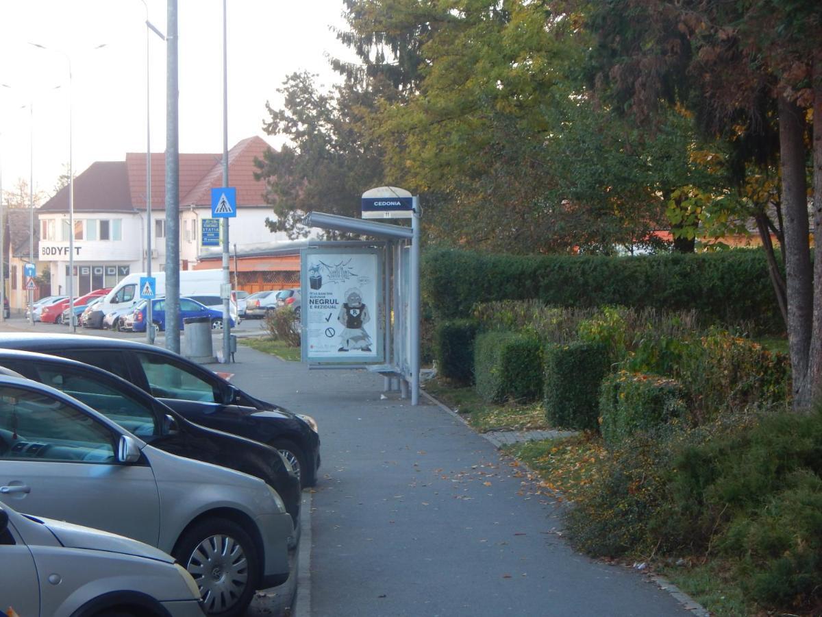 Sibiu Home 1 מראה חיצוני תמונה
